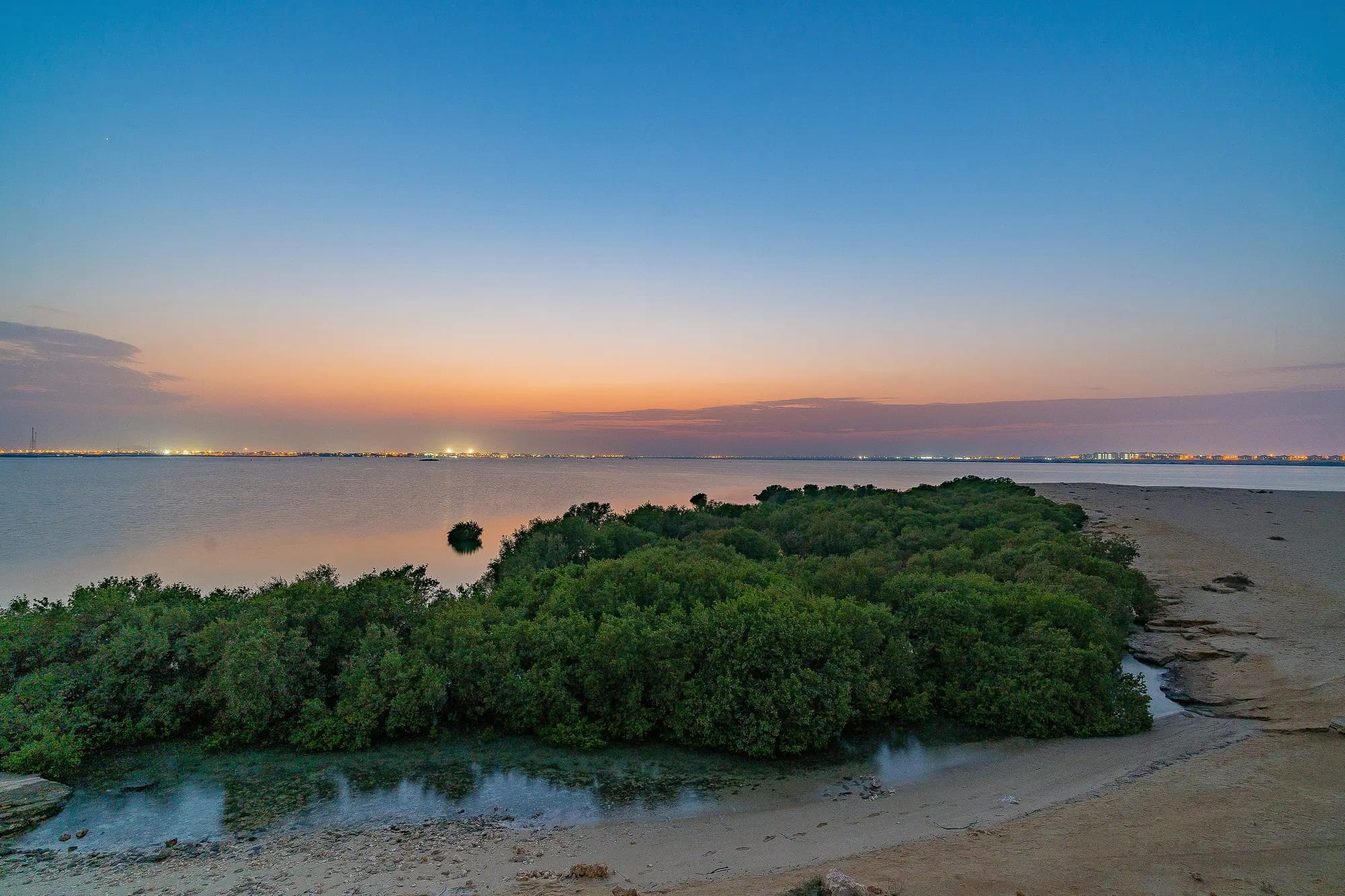 Mangroves at Al Khor at sunset