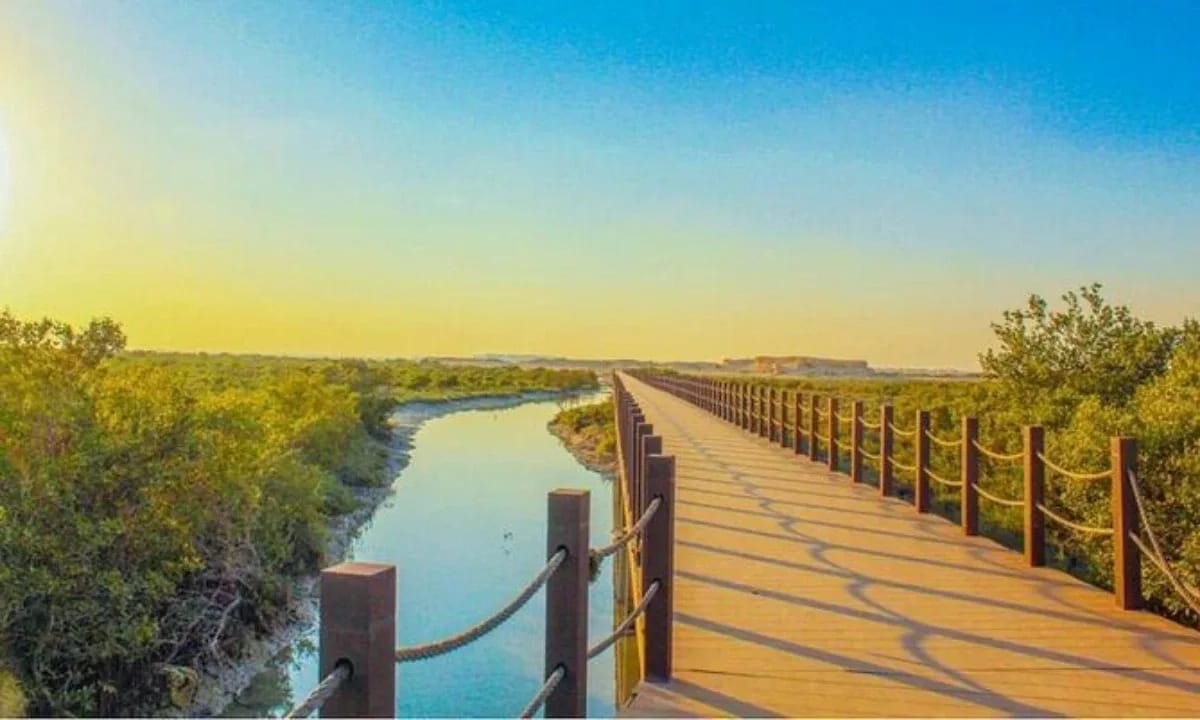 Mangrove Kayaking Al Thakhira – Qatar Layover Tours
