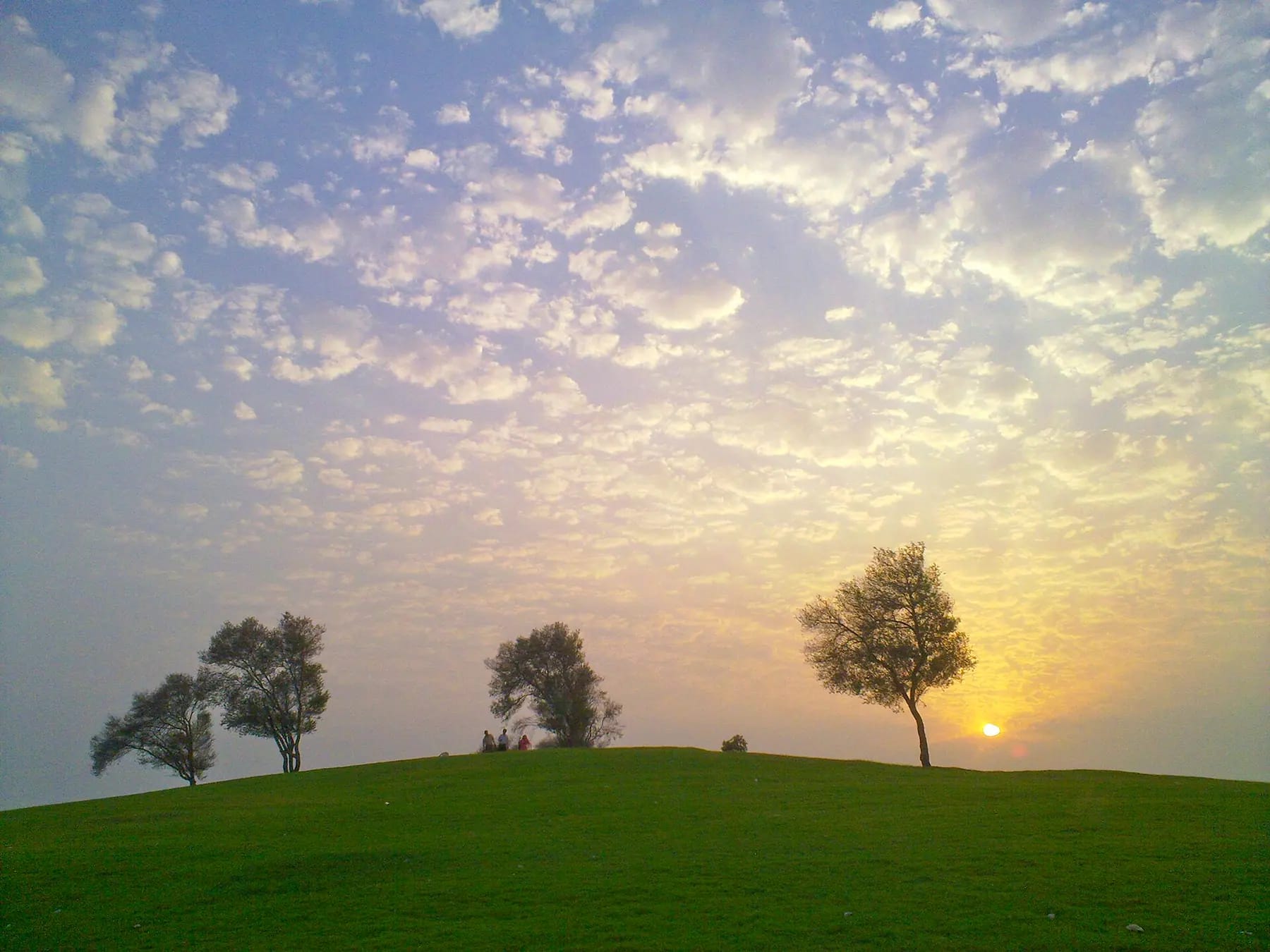 Aspire Park in Doha at sunset