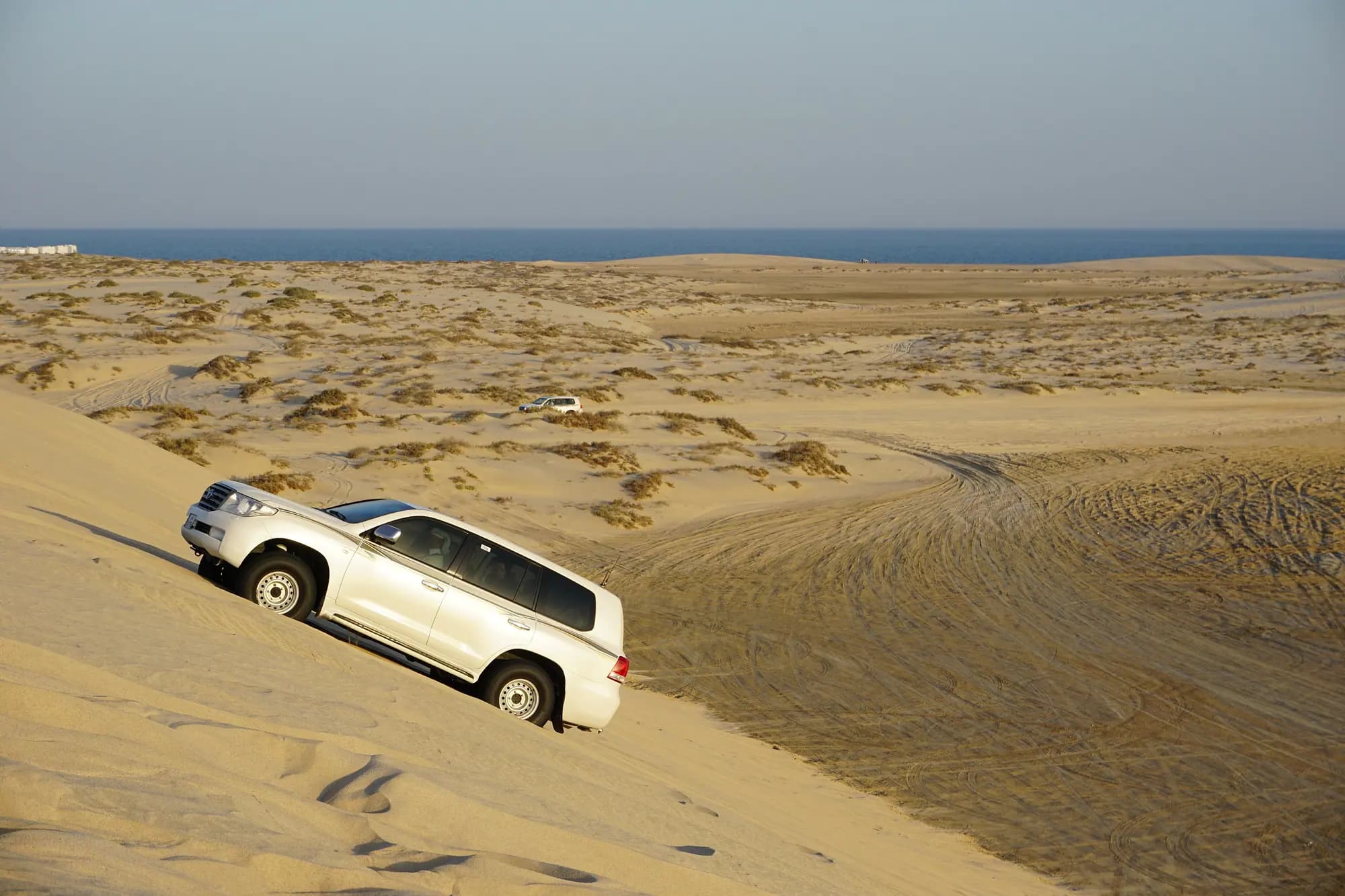 Doha Layover Desert Safari – layover desert safari doha – Qatar Layover Tours